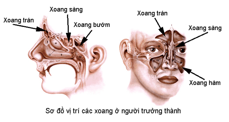 viem xong minhanh 2